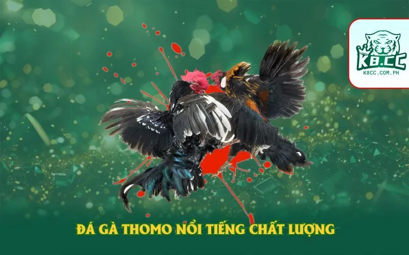 da-ga-thomo-noi-tieng-chat-luong